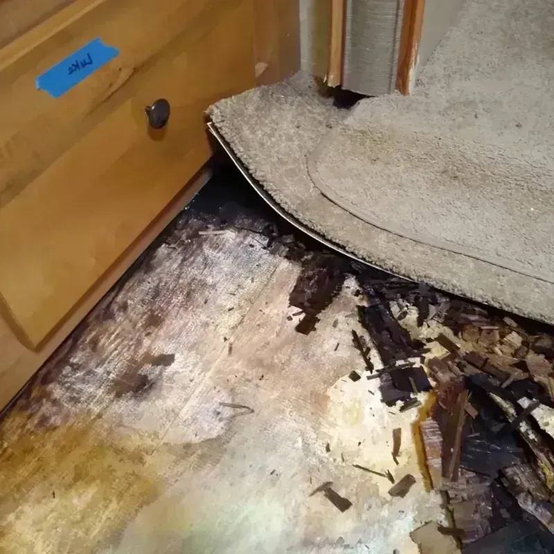 Wood Floor Water Damage in Barton County, MO